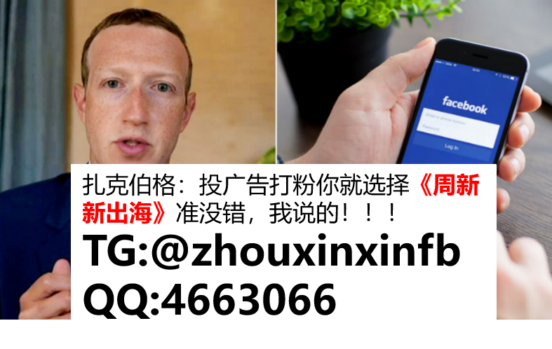 股票粉